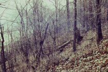 new beach road - prior to construction